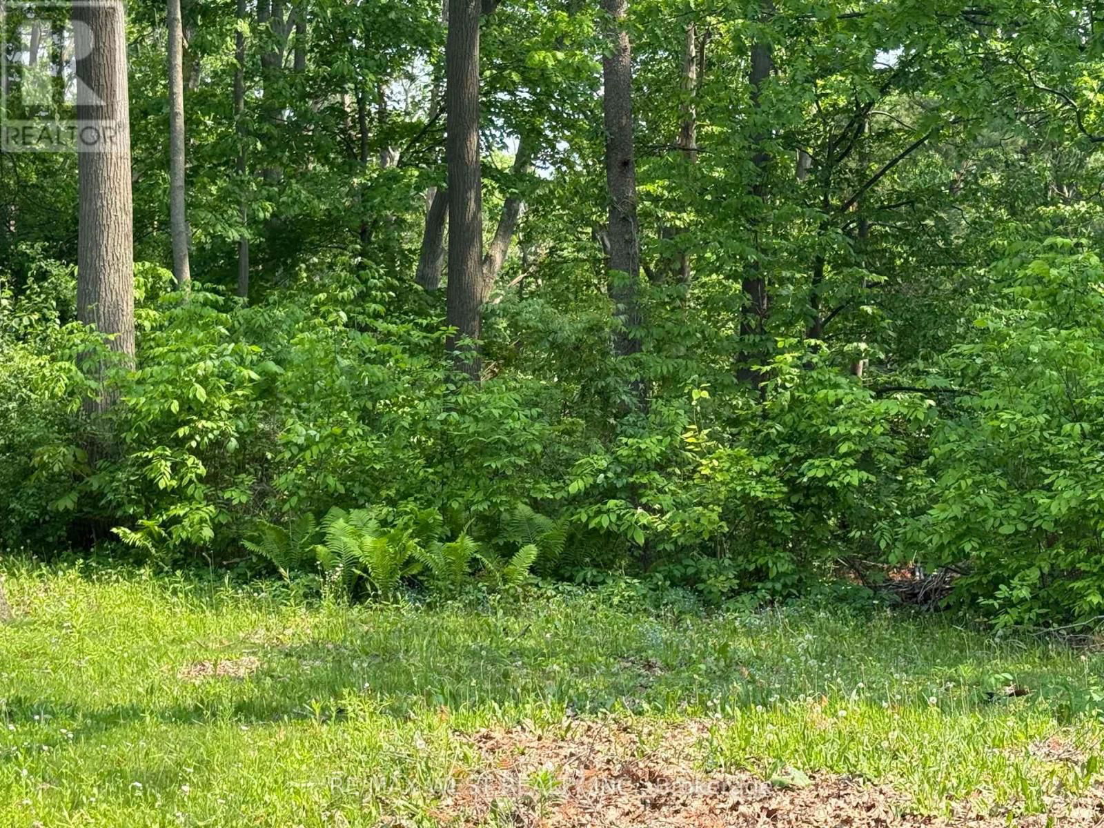105 SHIRLEY AVENUE Image 35