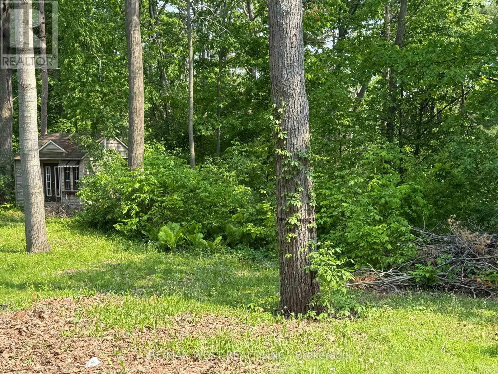 105 SHIRLEY AVENUE Image 36