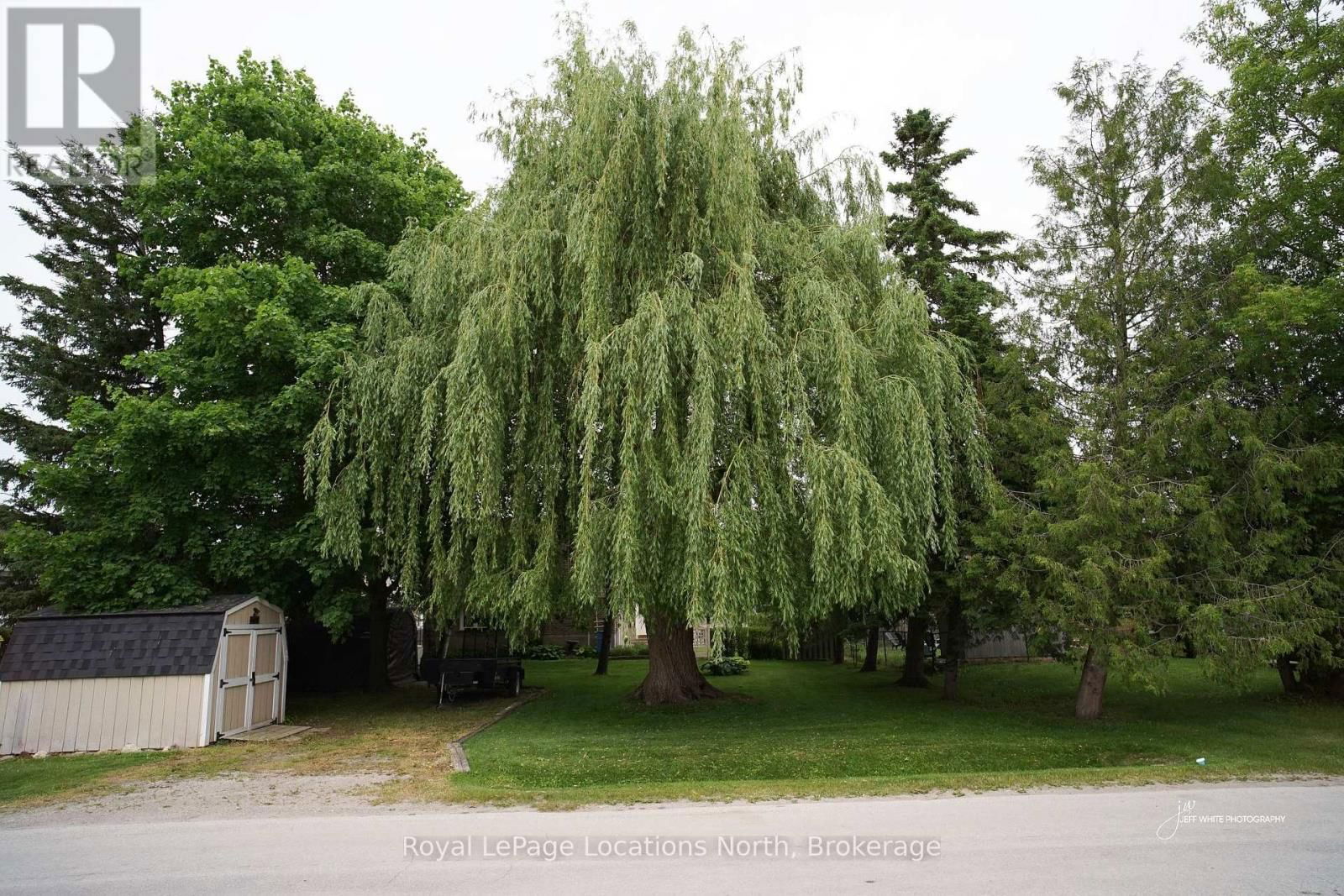 221 JOHN STREET Image 25