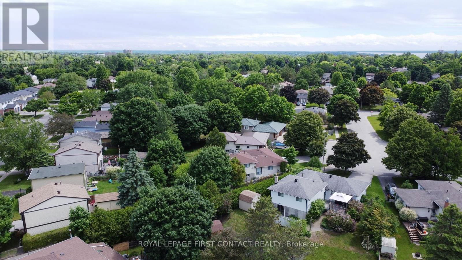 228 BROWNING TRAIL Image 43