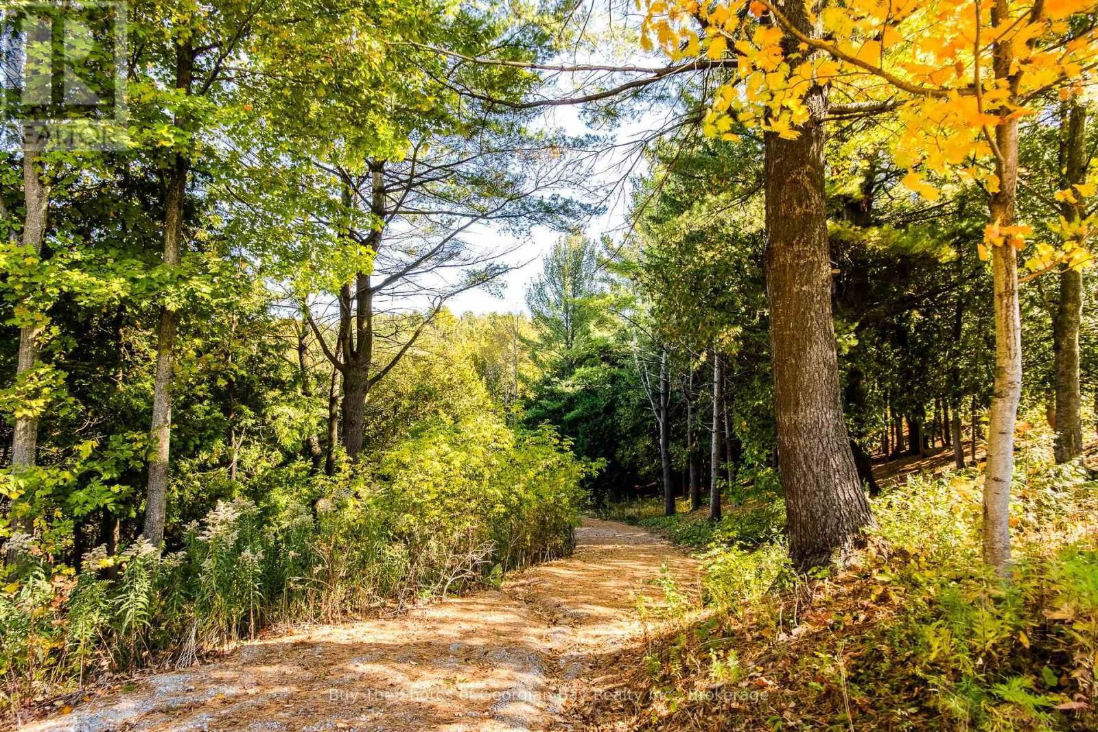 399 DAWSON'S SIDEROAD Image 39
