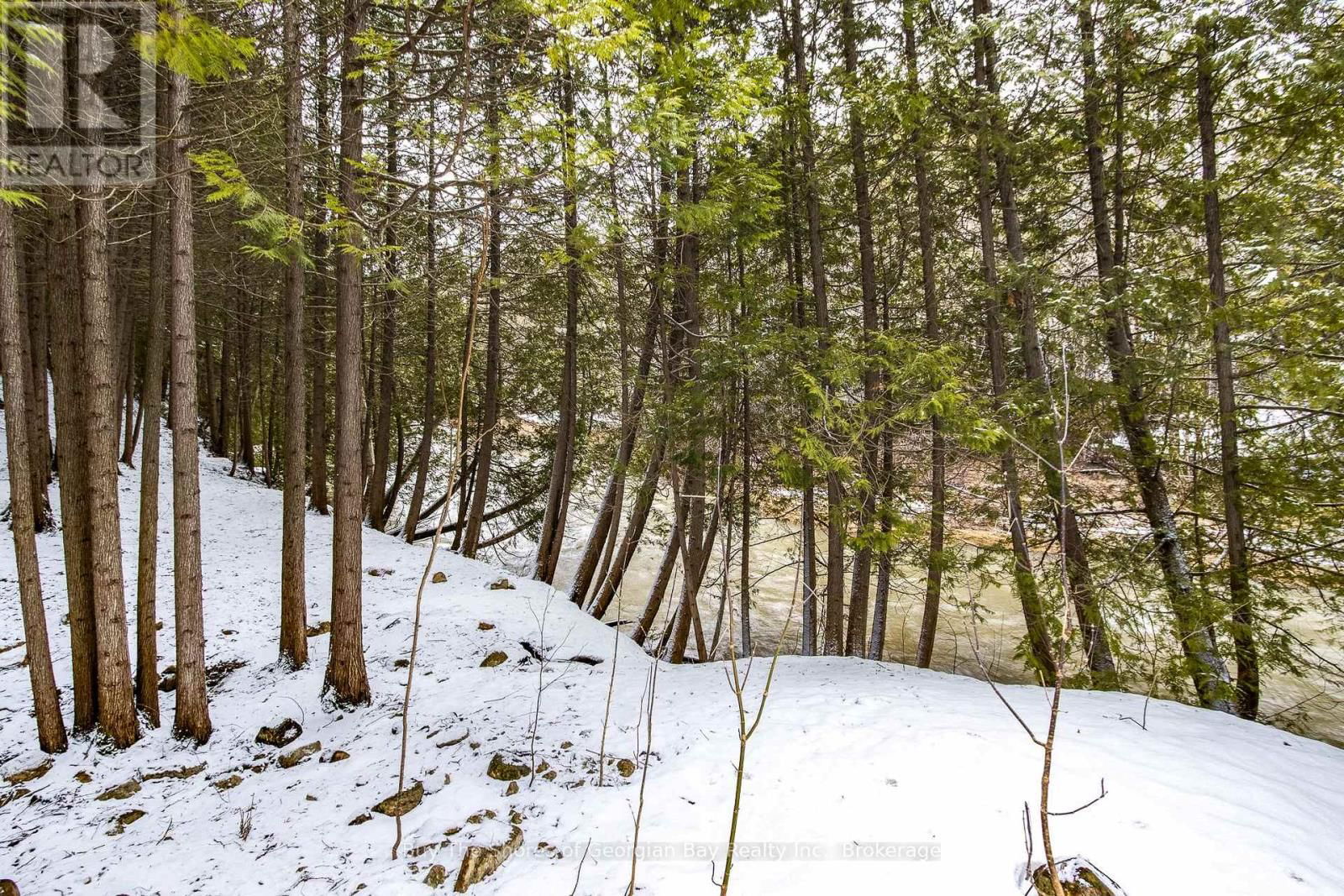 399 DAWSON'S SIDEROAD Image 49