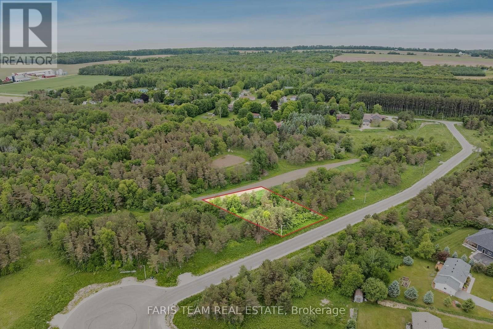 Primary Property View
