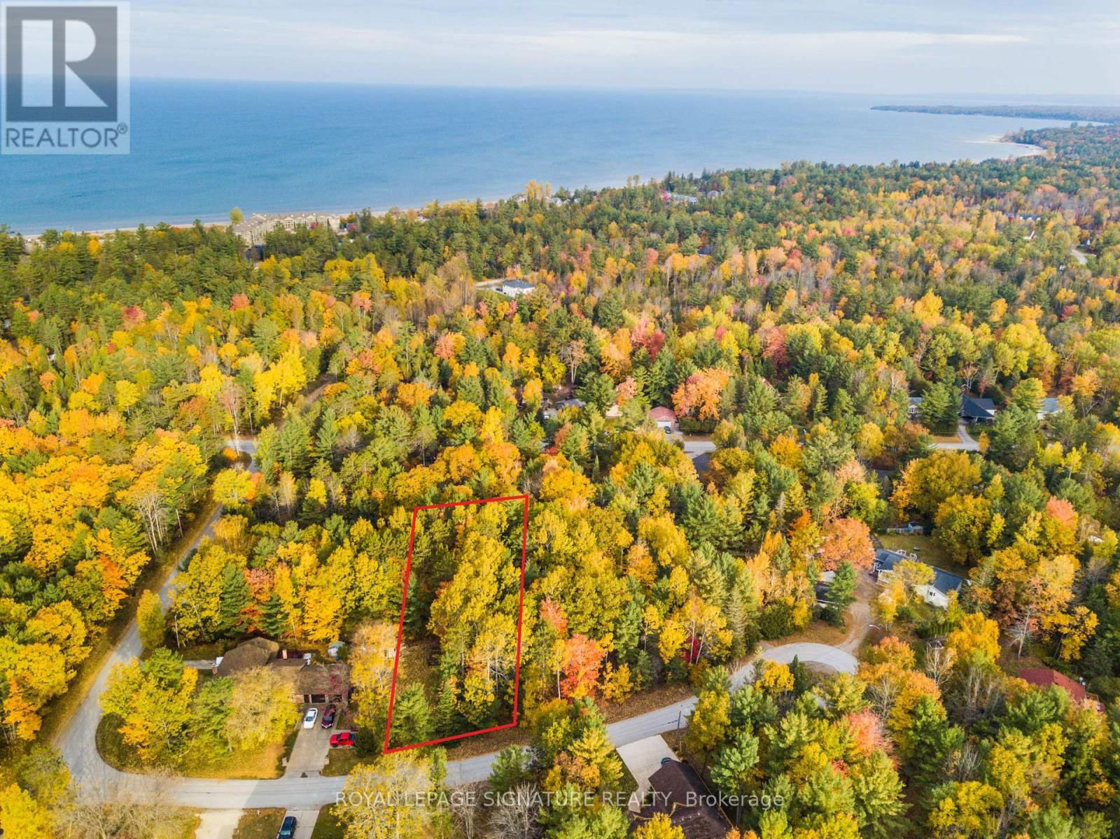 Primary Property View
