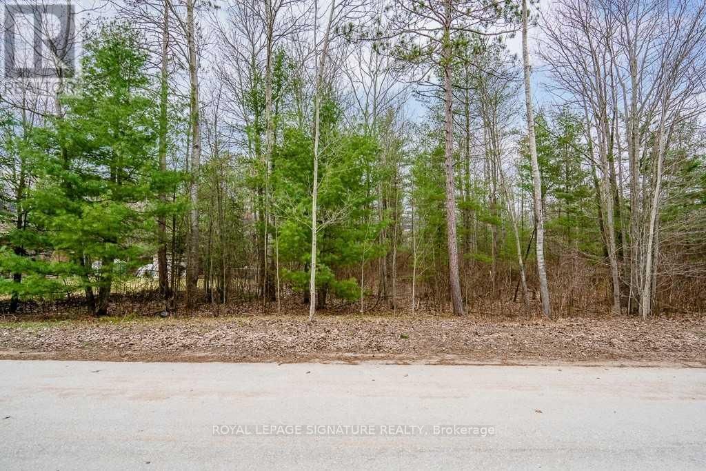 4 NIDA CRESCENT Image 8