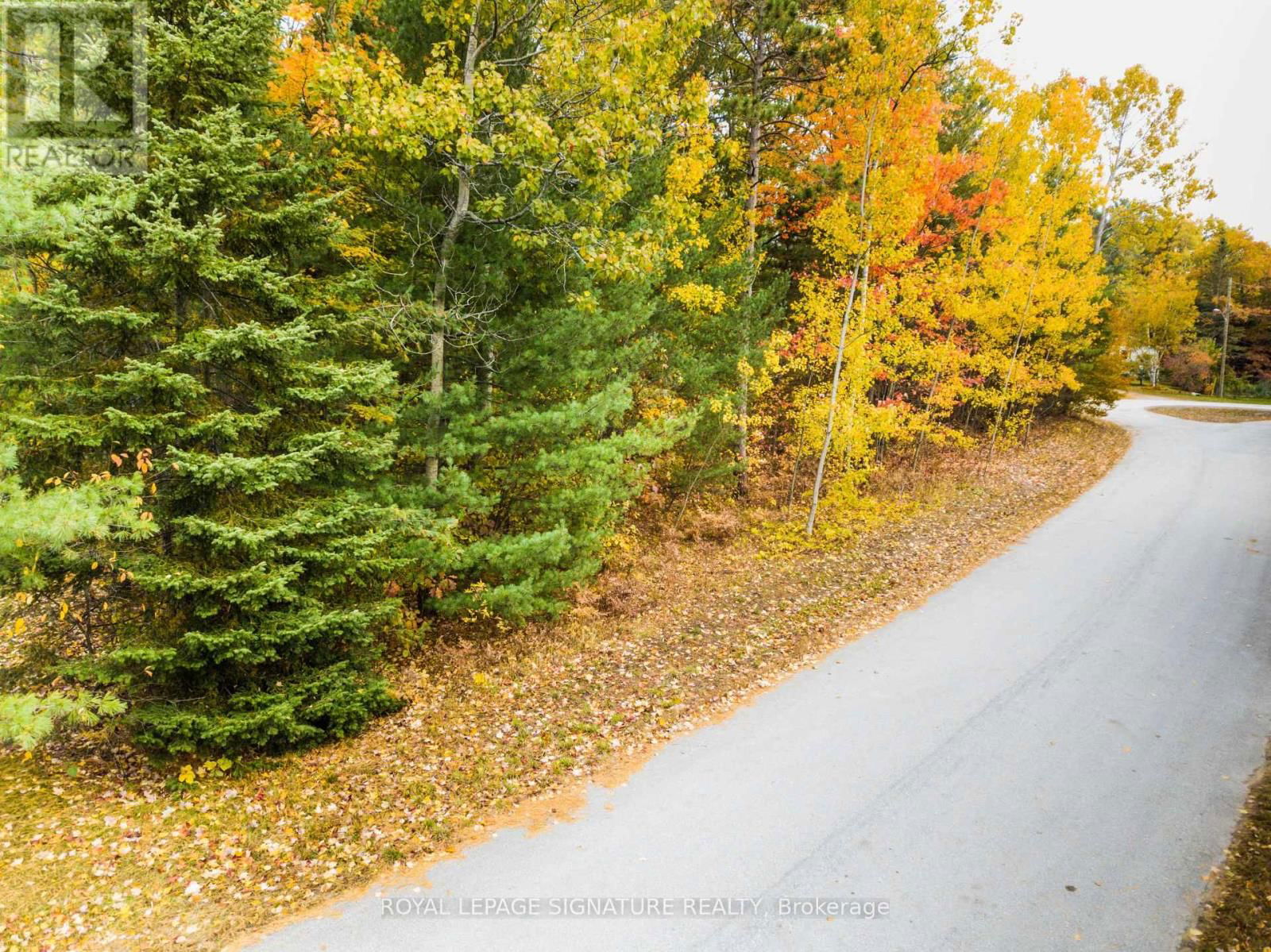 4 NIDA CRESCENT Image 9