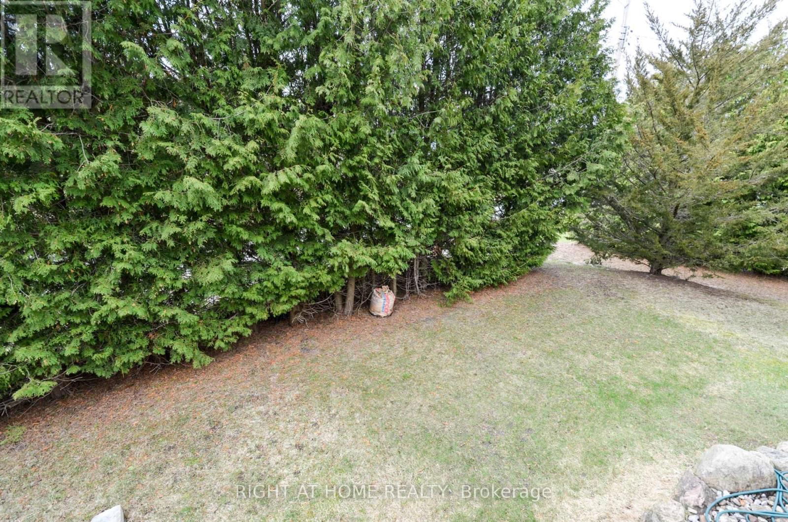 49 WINFIELD DRIVE Image 19