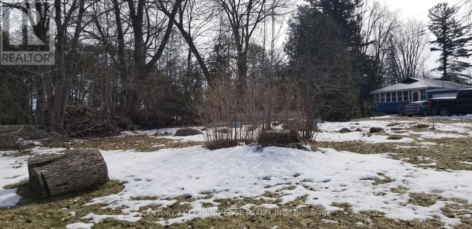 1 ORILLIA ROAD Image 11