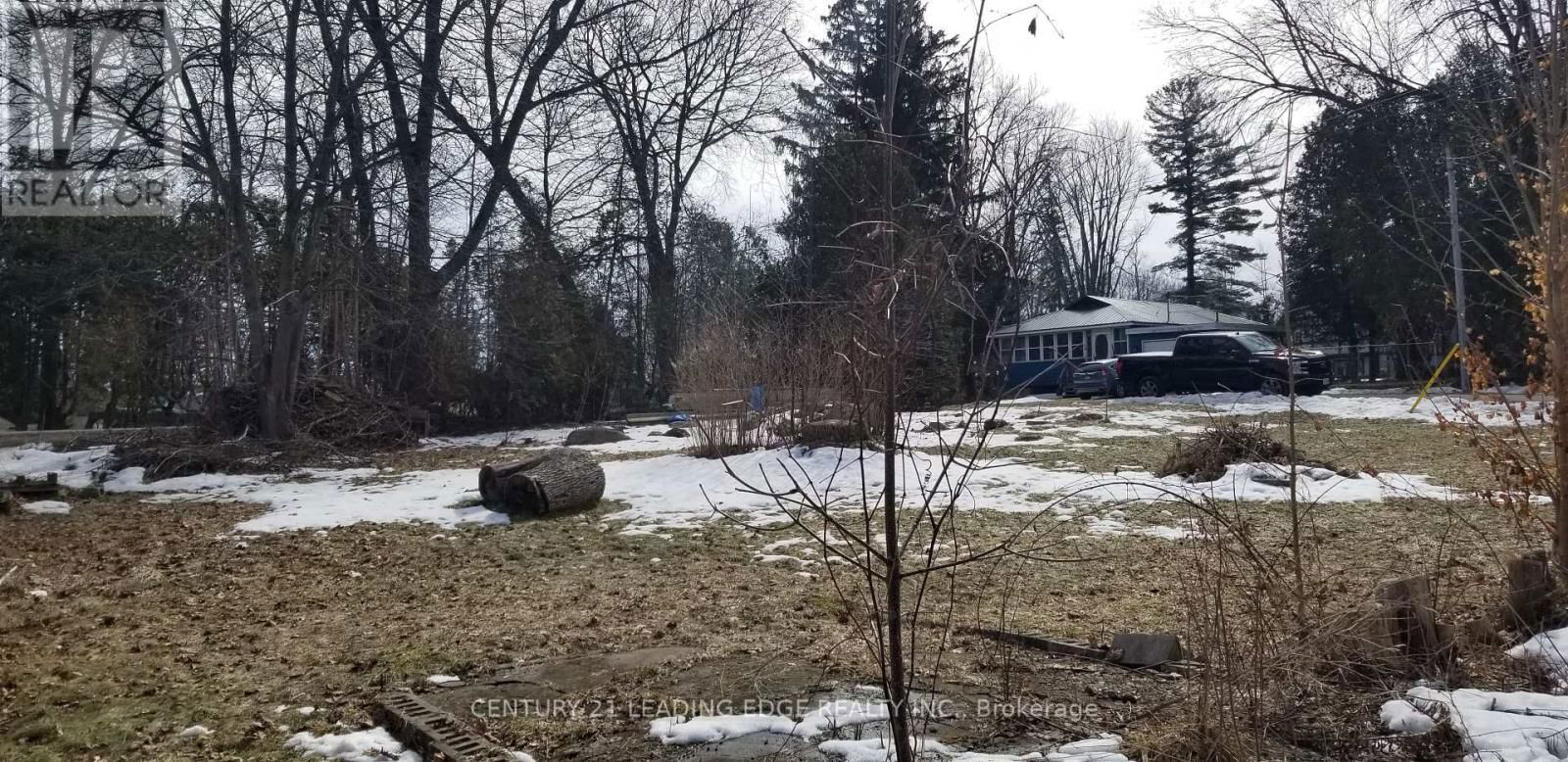 1 ORILLIA ROAD Image 14