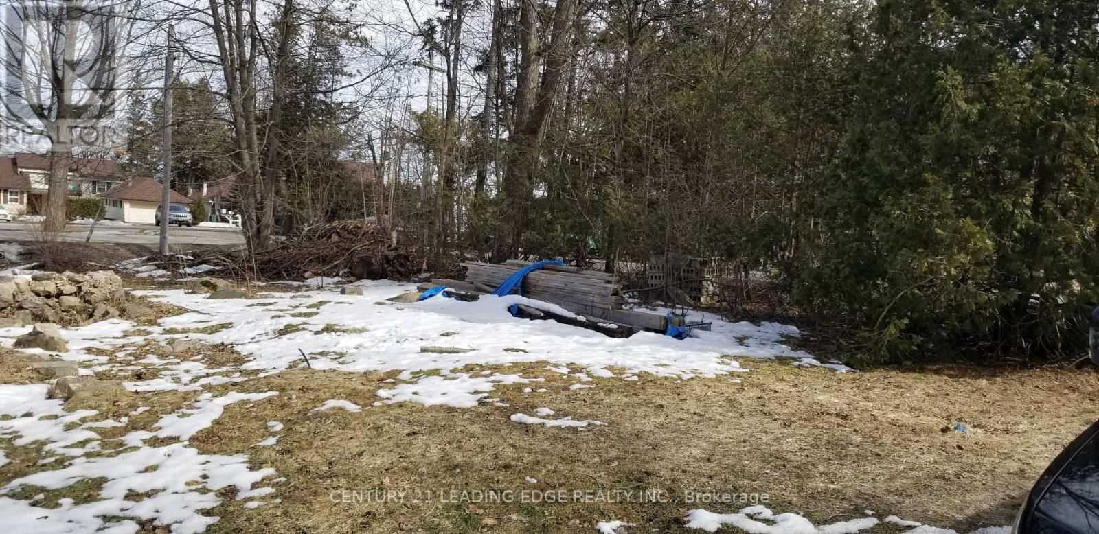 1 ORILLIA ROAD Image 23