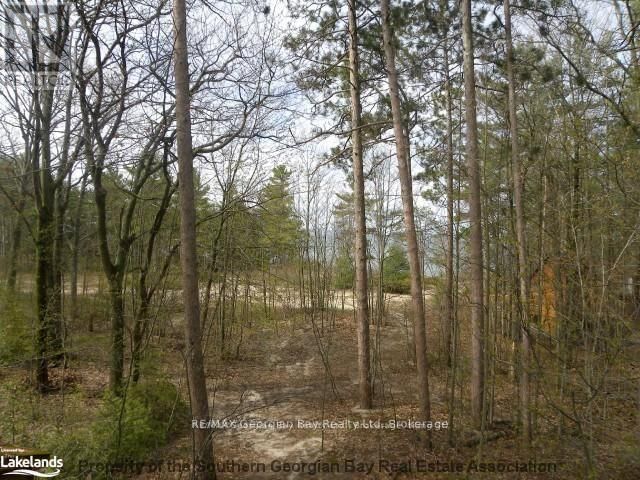 1246 TINY BEACHES ROAD NORTH Image 44