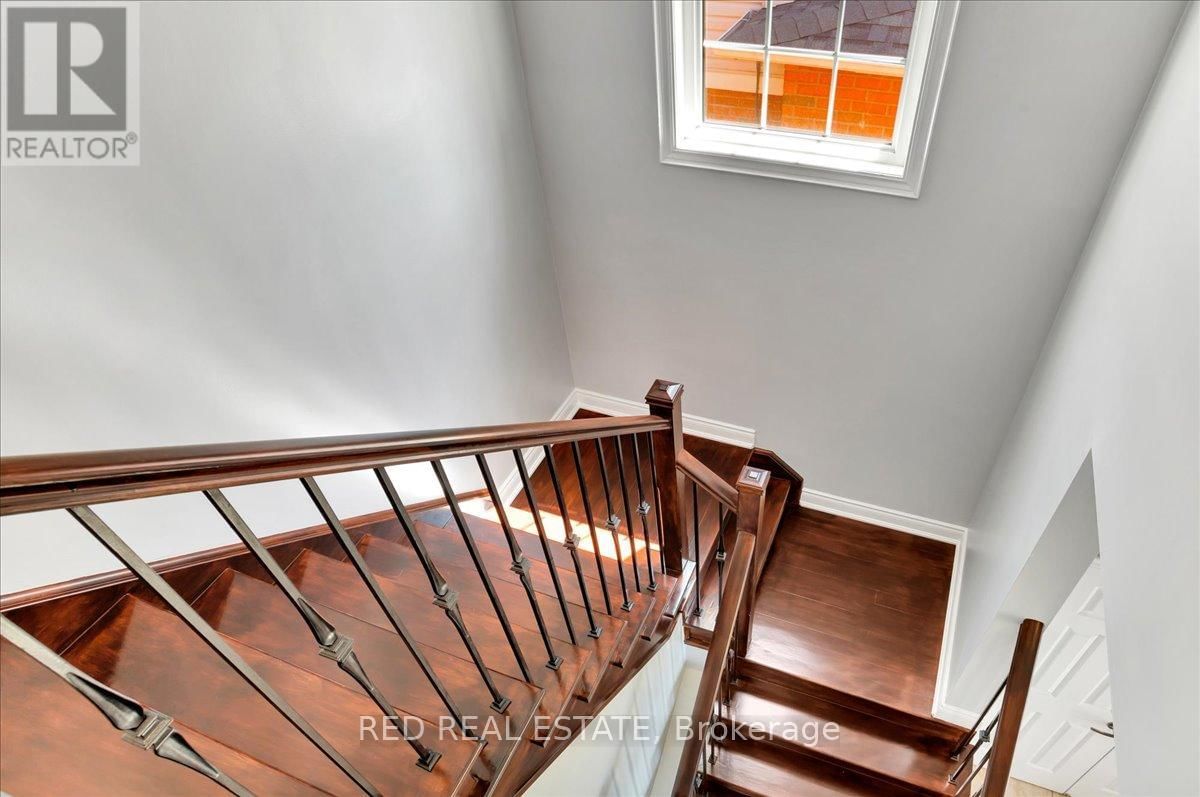 117 WINCHESTER TERRACE Image 22