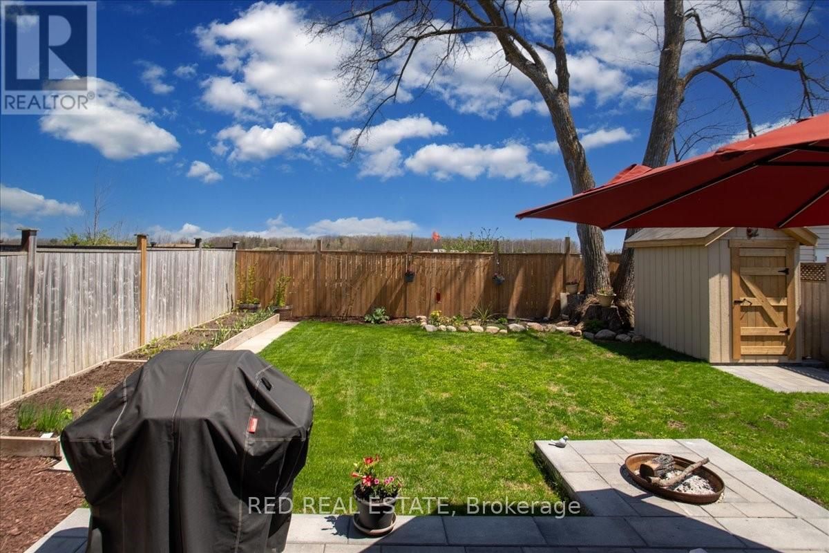 117 WINCHESTER TERRACE Image 3