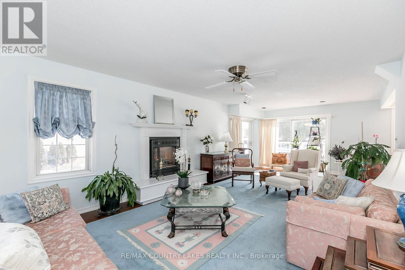 98 TURTLE PATH Image 15