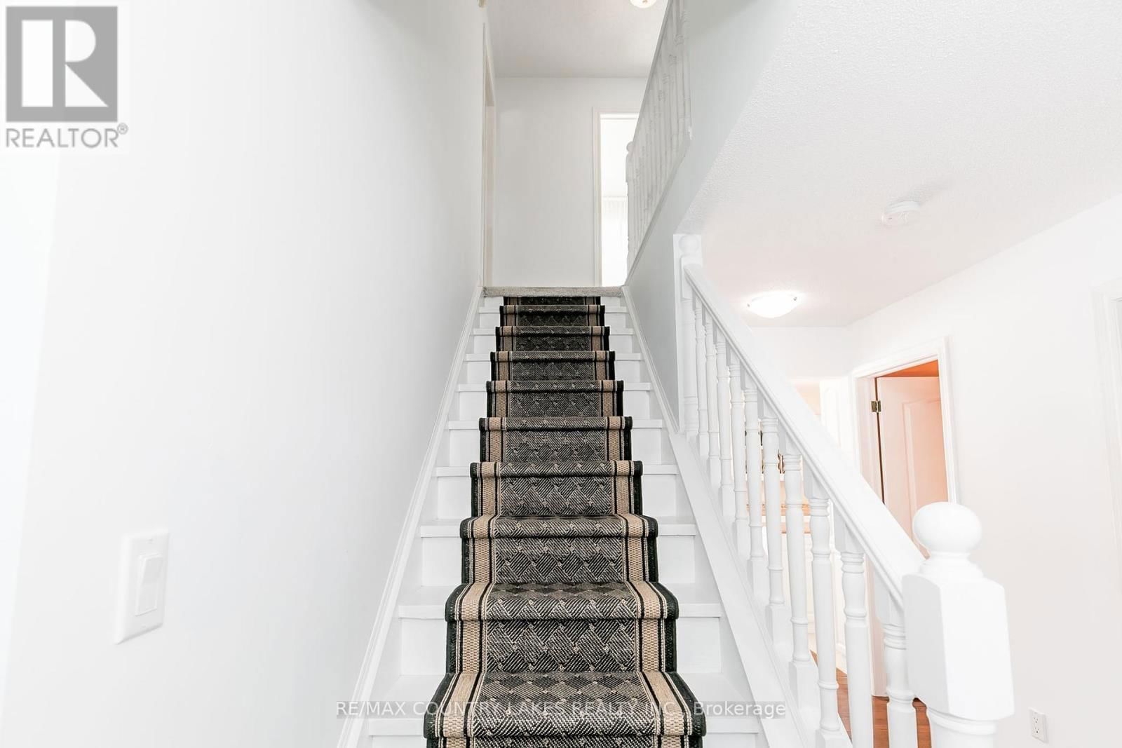 98 TURTLE PATH Image 27