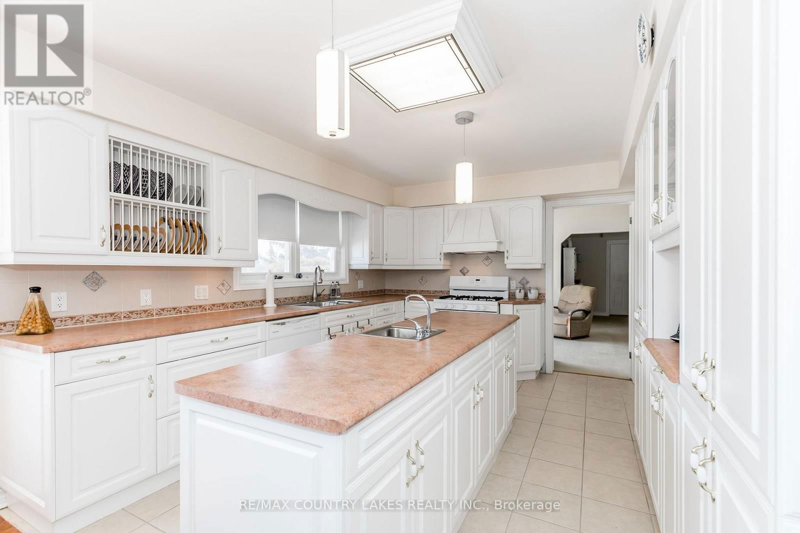98 TURTLE PATH Image 6