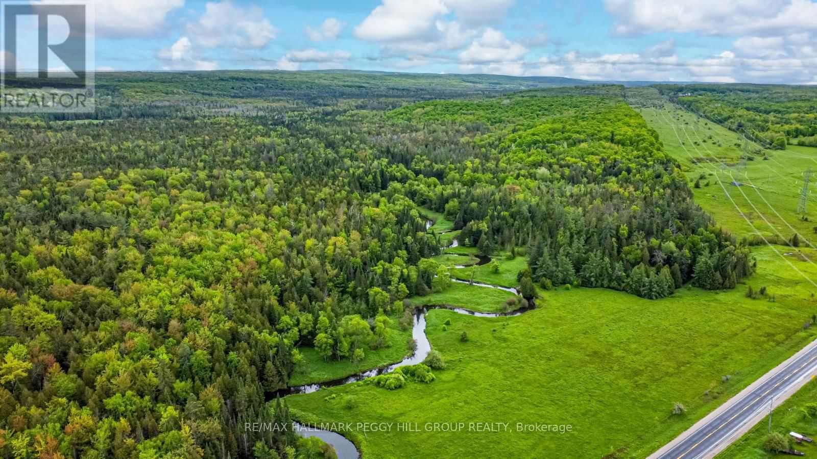 Primary Property View