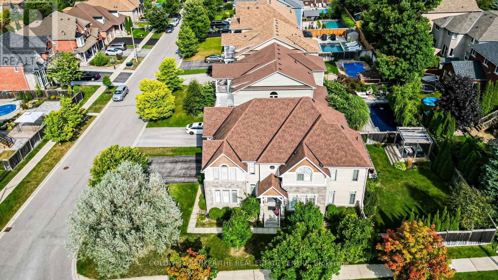 Primary Property View