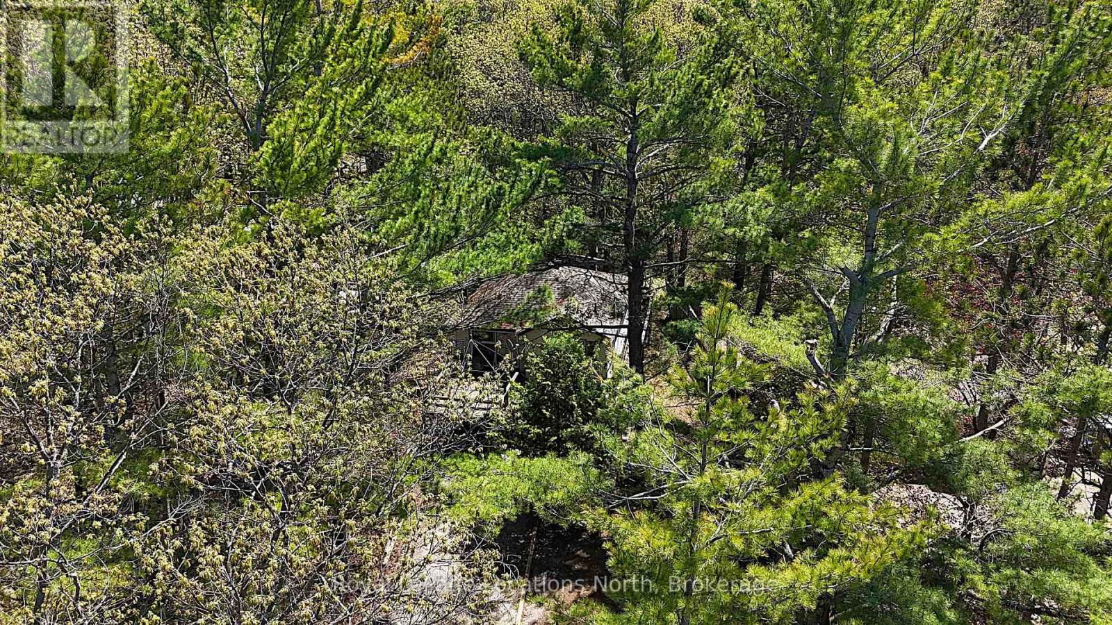 25 BALMORAL AVENUE Image 6
