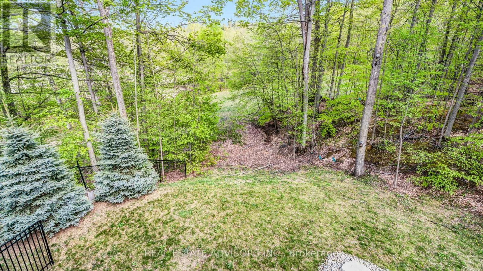 54 PINE RIDGE TRAIL Image 32
