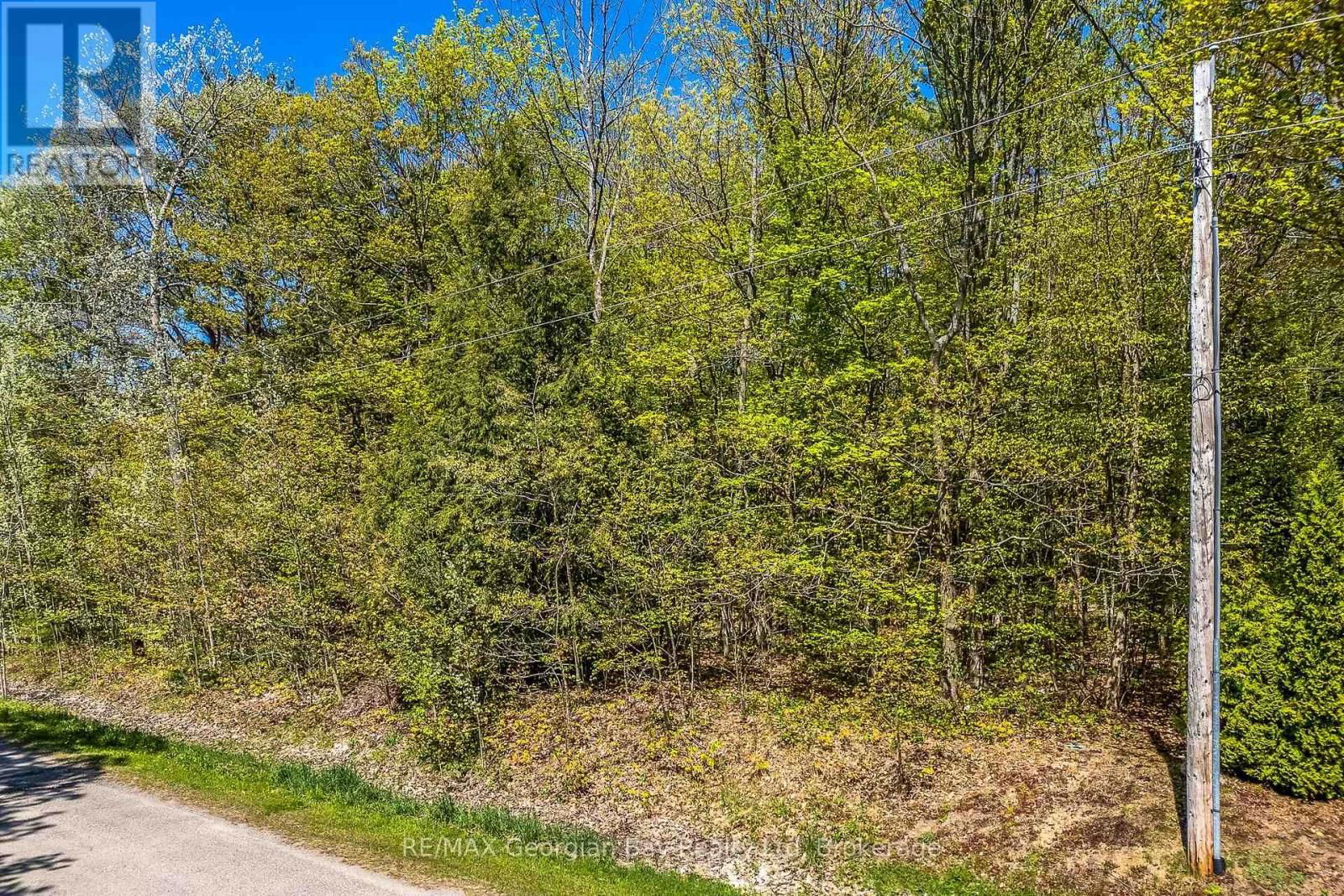 Lot 61 RUE CAMILLE ROAD Image 3
