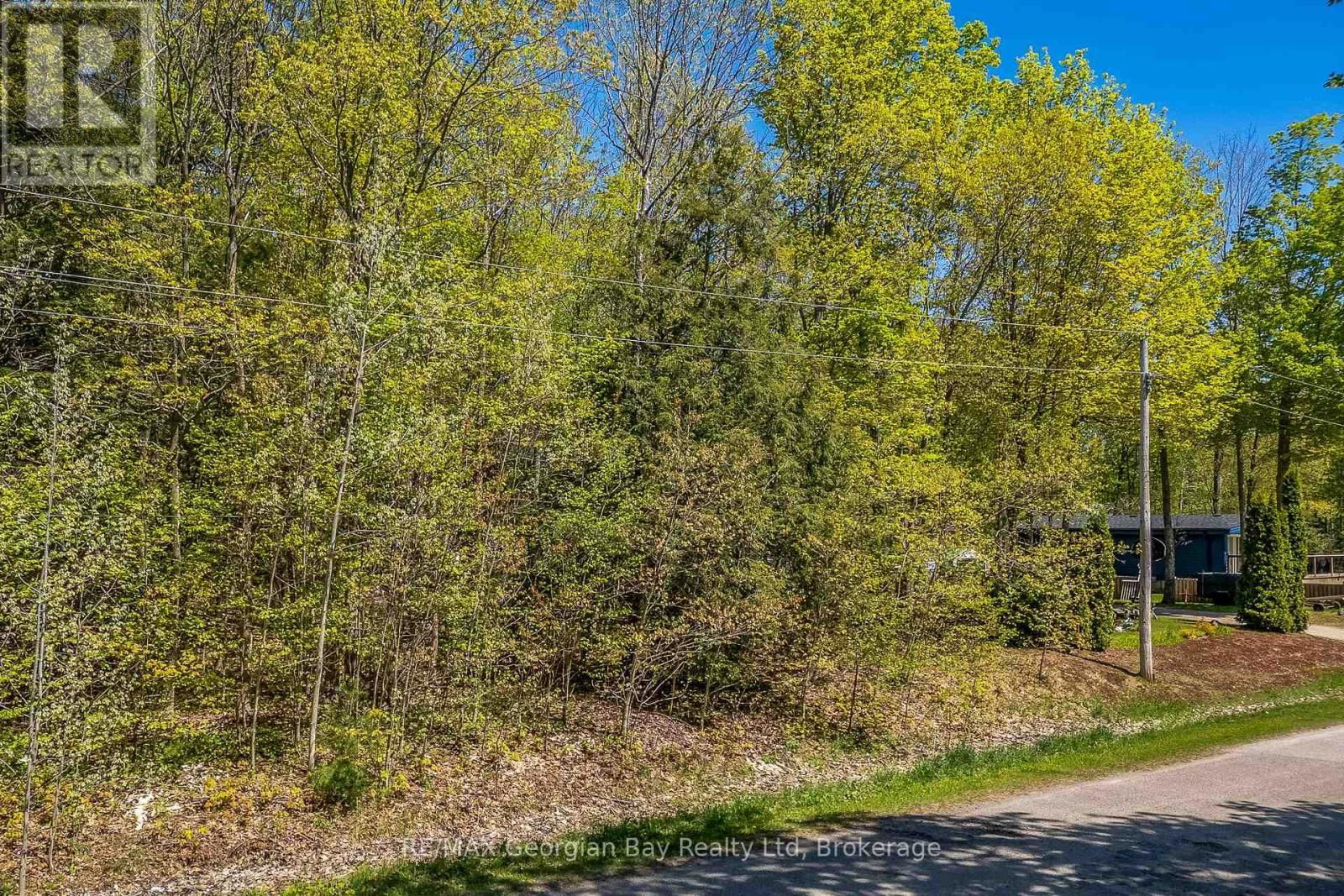 Lot 61 RUE CAMILLE ROAD Image 6