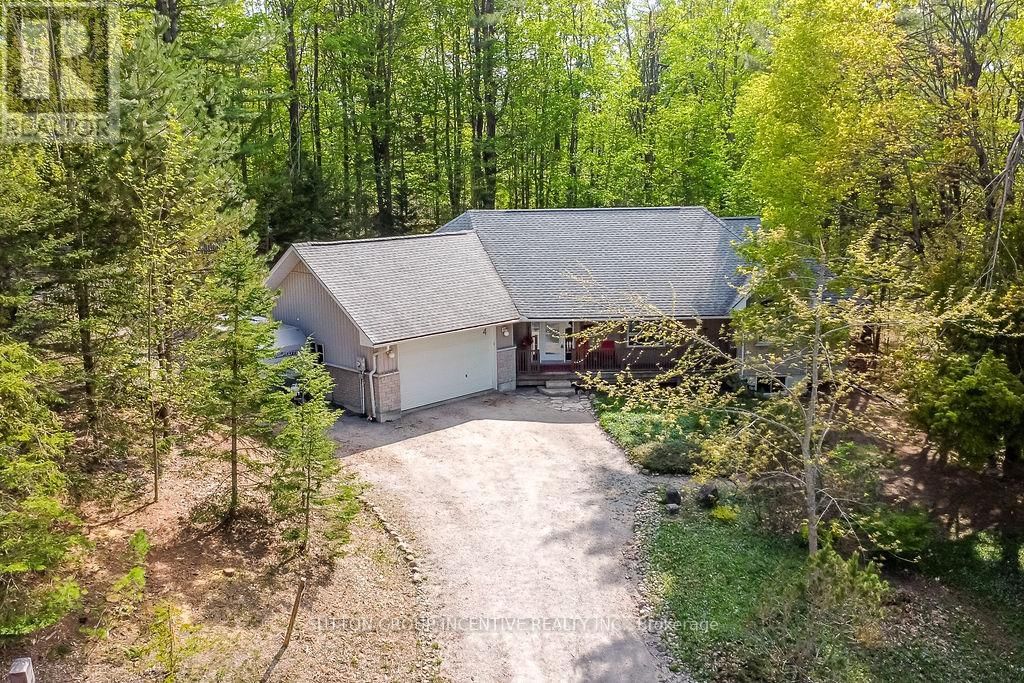 Primary Property View