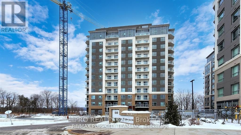 Primary Property View
