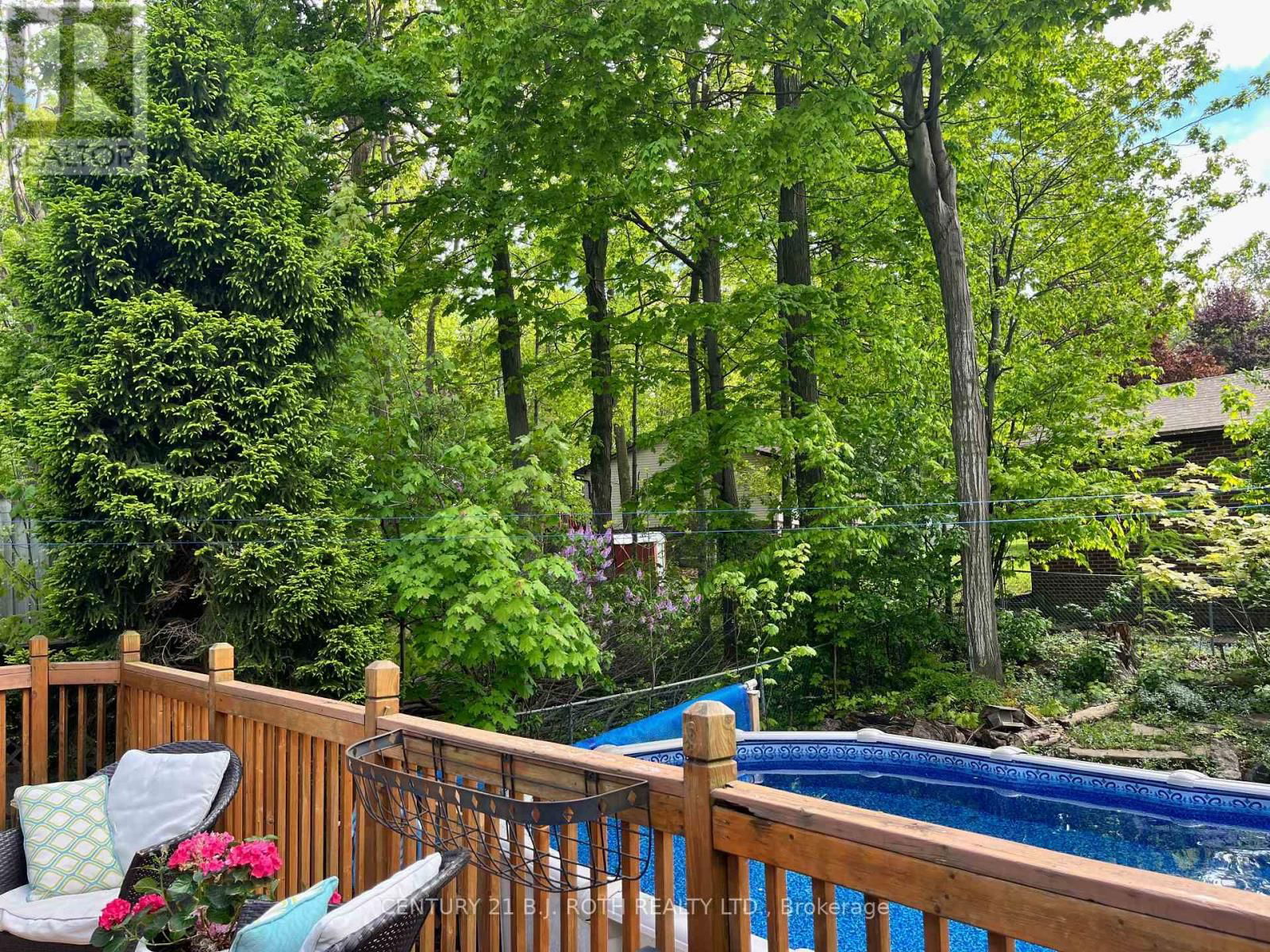 117 SPRINGDALE DRIVE Image 27