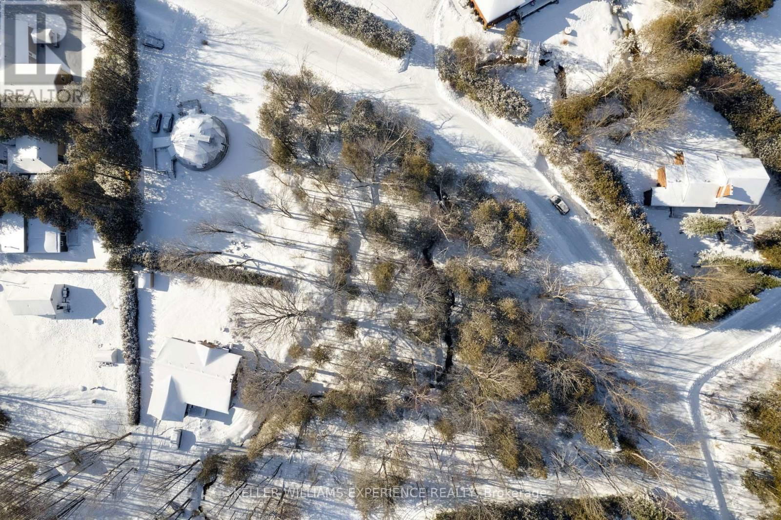 39 & 43 CAMPBELL AVENUE Image 7