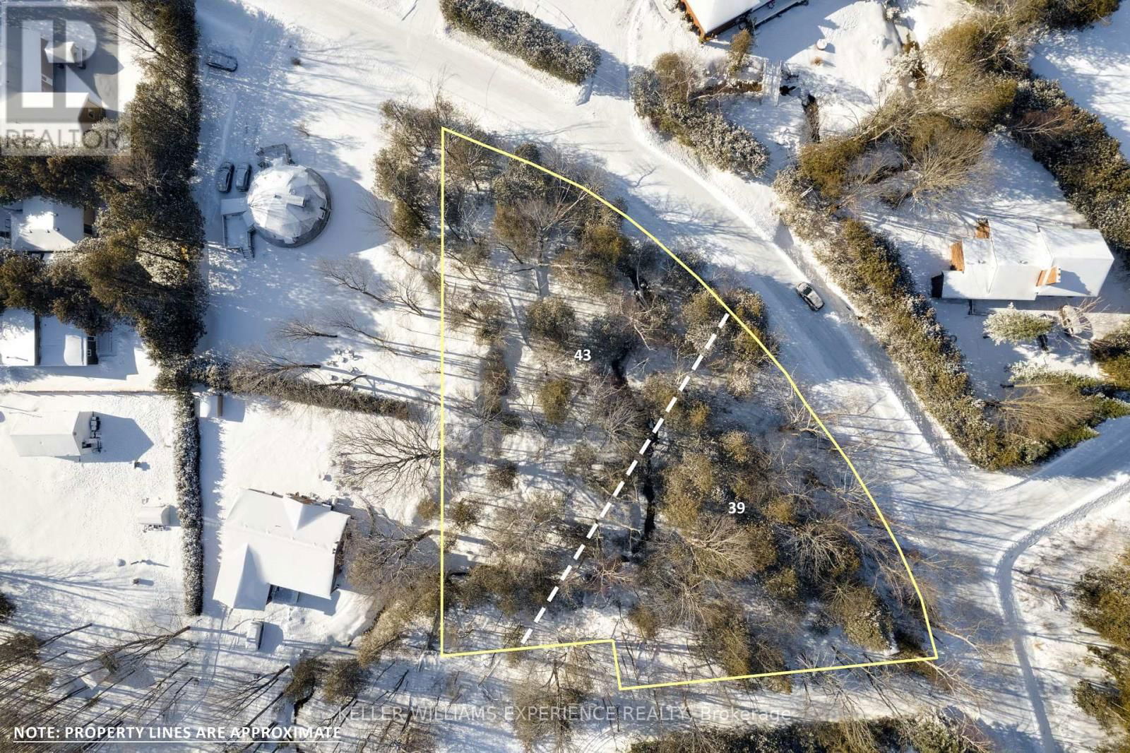 39 & 43 CAMPBELL AVENUE Image 8