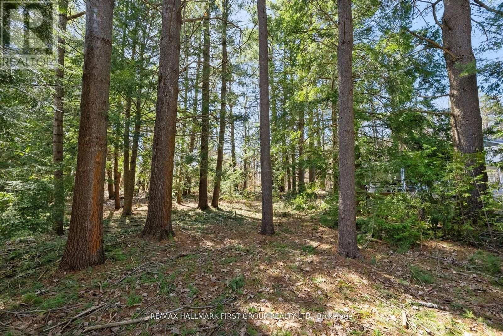 3070 SPARROW LAKE ROAD SOUTH Image 16