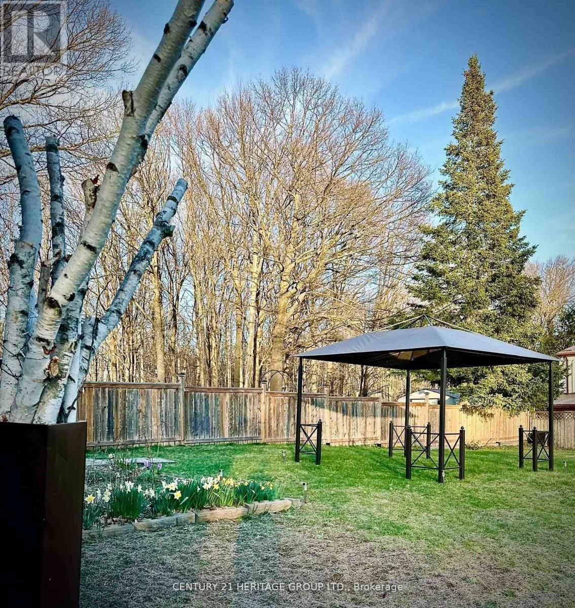 1329 EVERTON ROAD Image 49