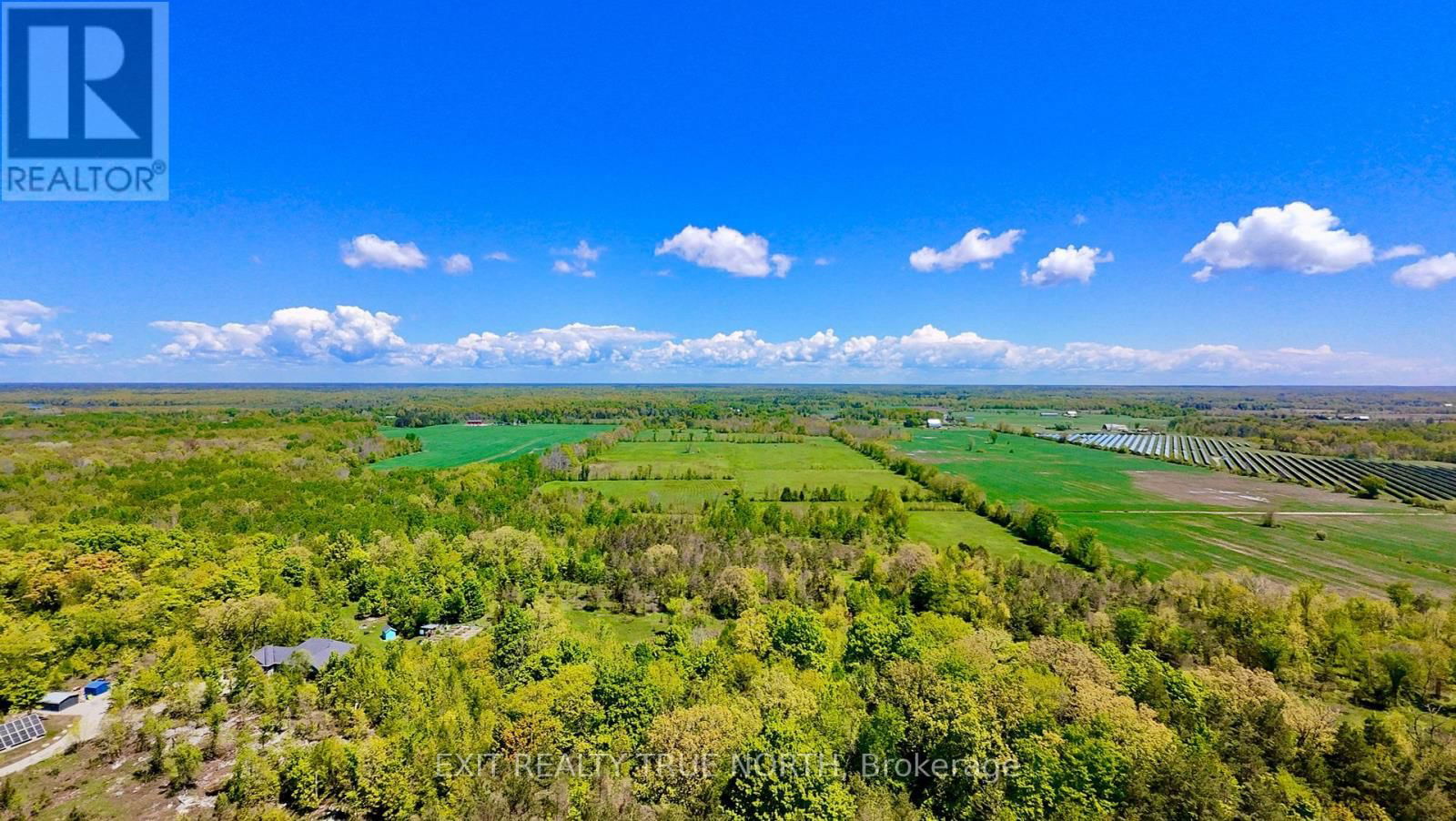 Primary Property View