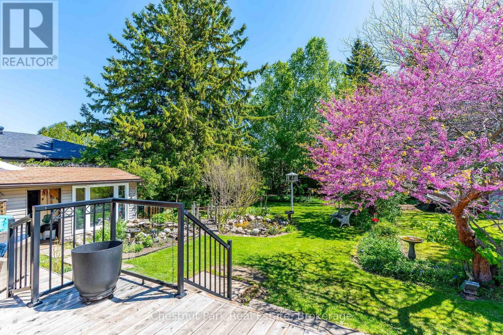 31 SAUNDERS STREET Image 34