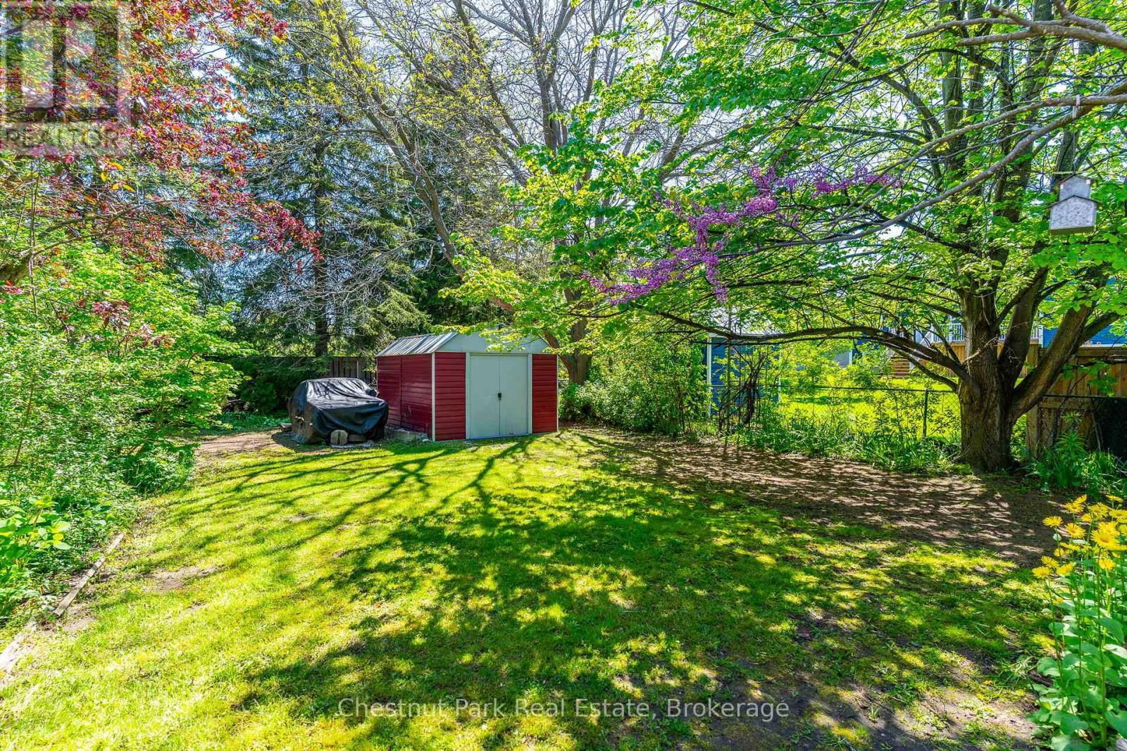 31 SAUNDERS STREET Image 42