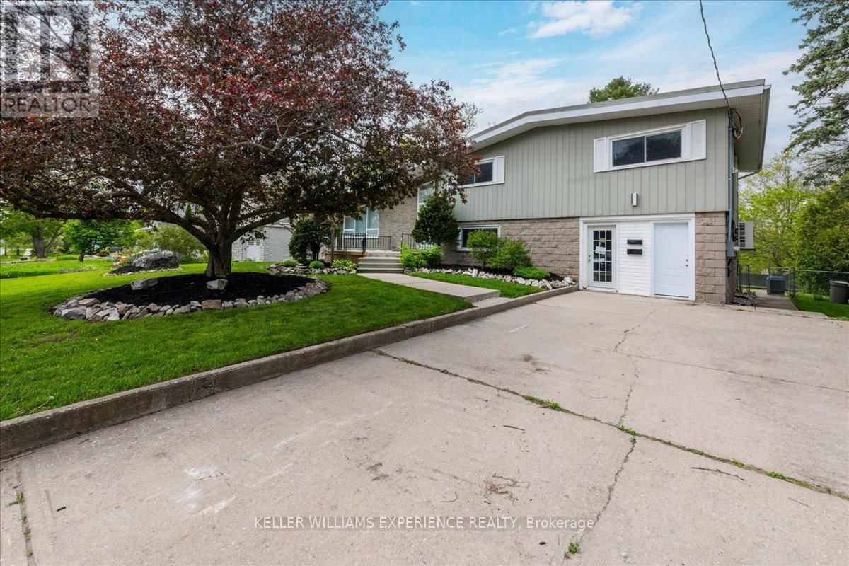 46 EUGENIA STREET Image 1