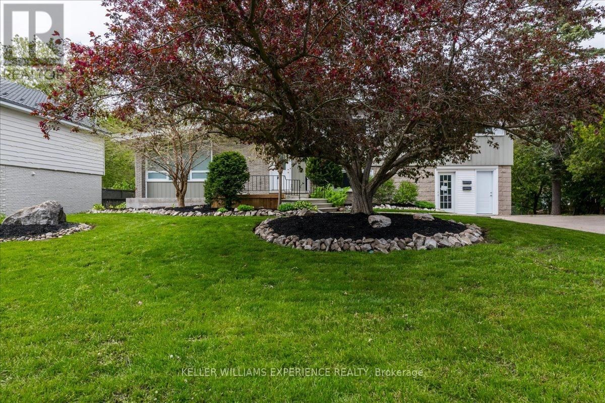 46 EUGENIA STREET Image 2