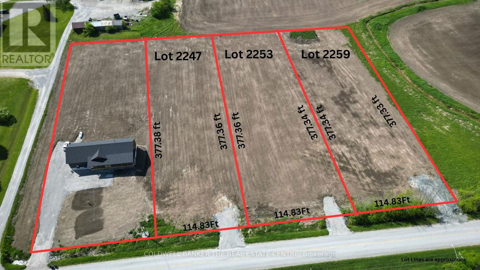 Primary Property View