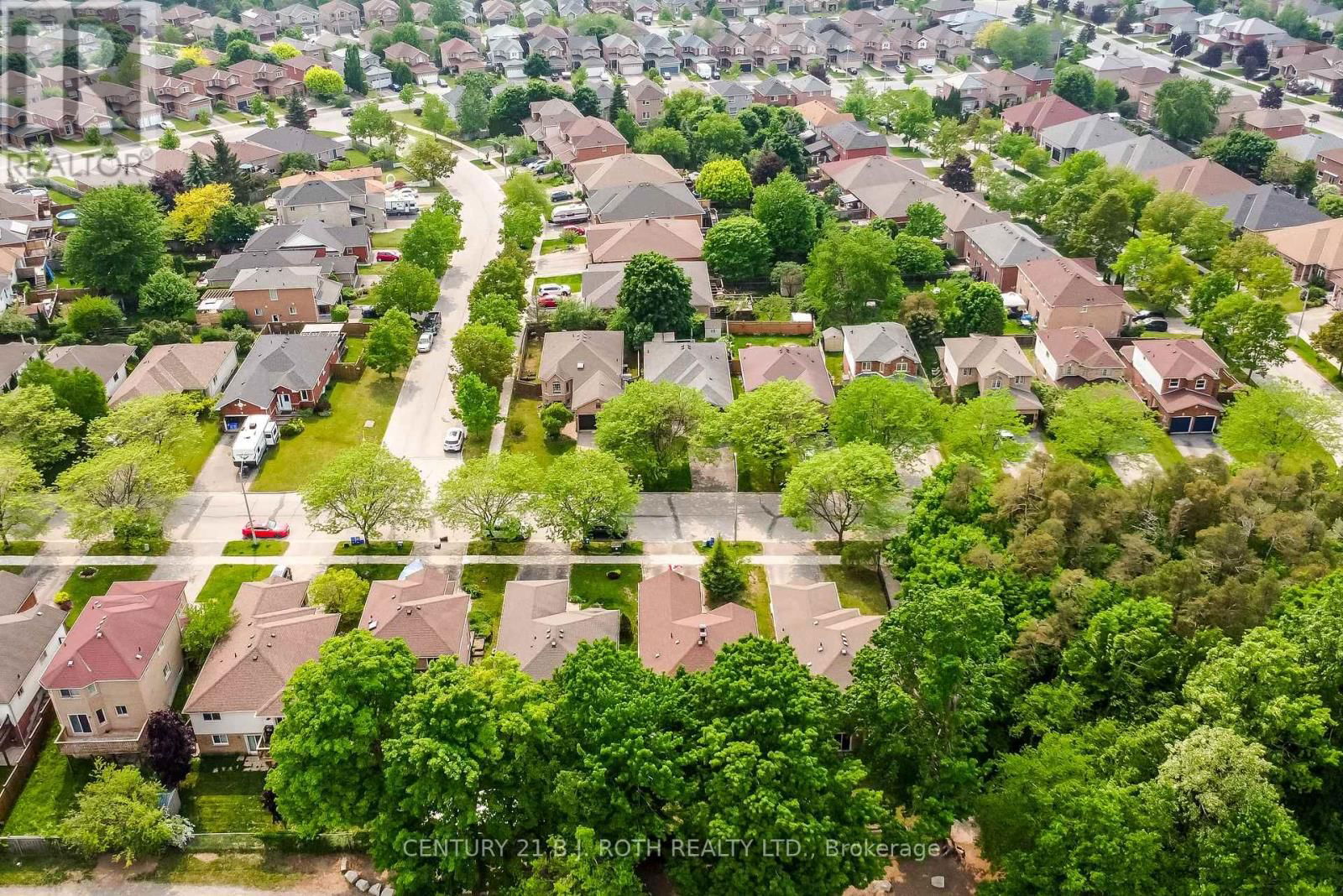 37 NICHOLSON DRIVE Image 6