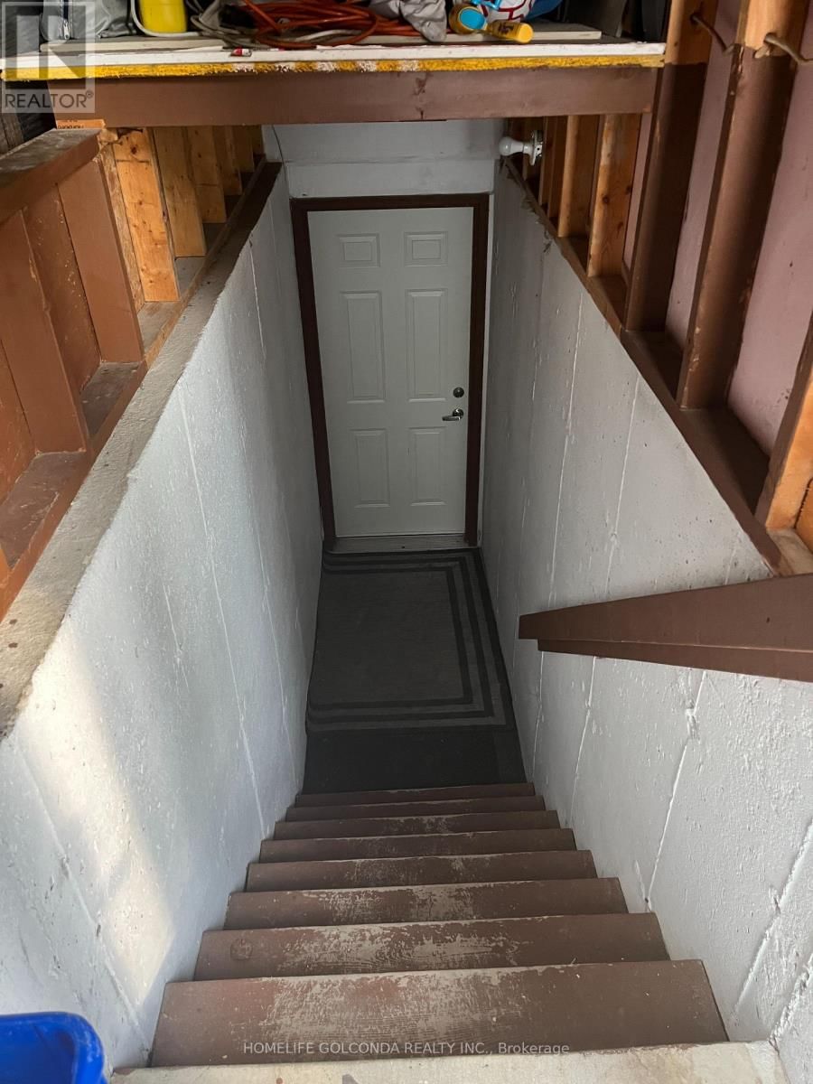 Lower - 179 HANMER STREET EAST Image 12