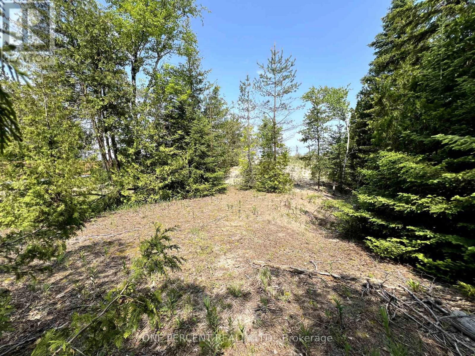 1554 SHORE LANE Image 9