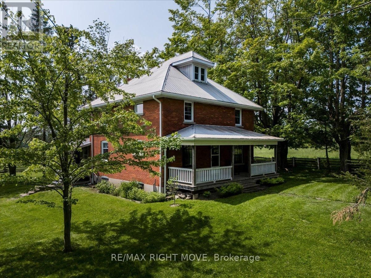 Primary Property View