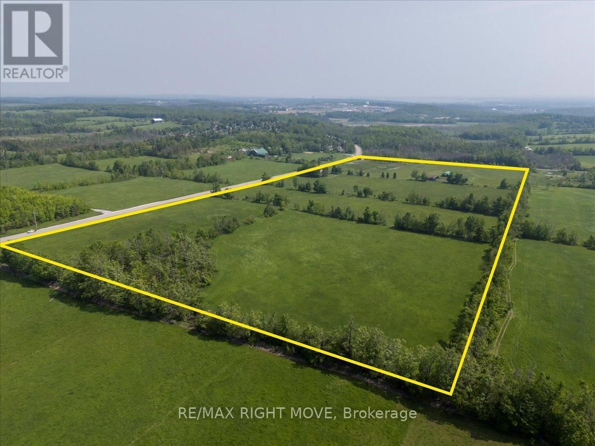 2529 OLD BARRIE ROAD EAST Image 4