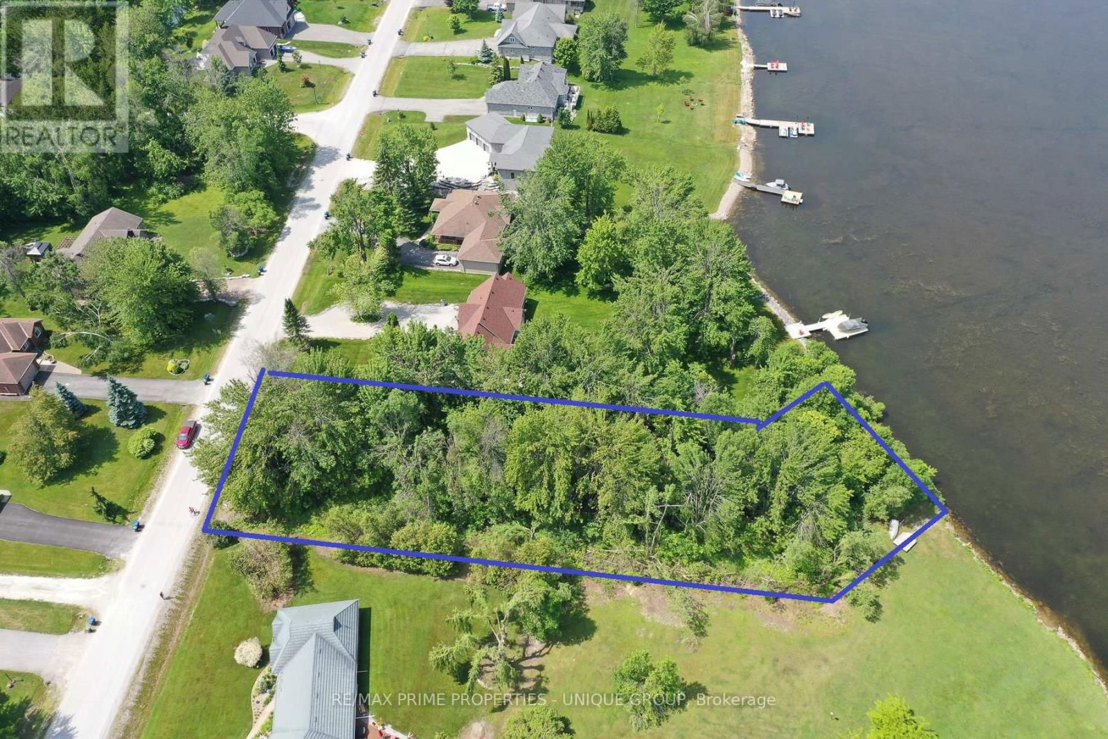 Primary Property View