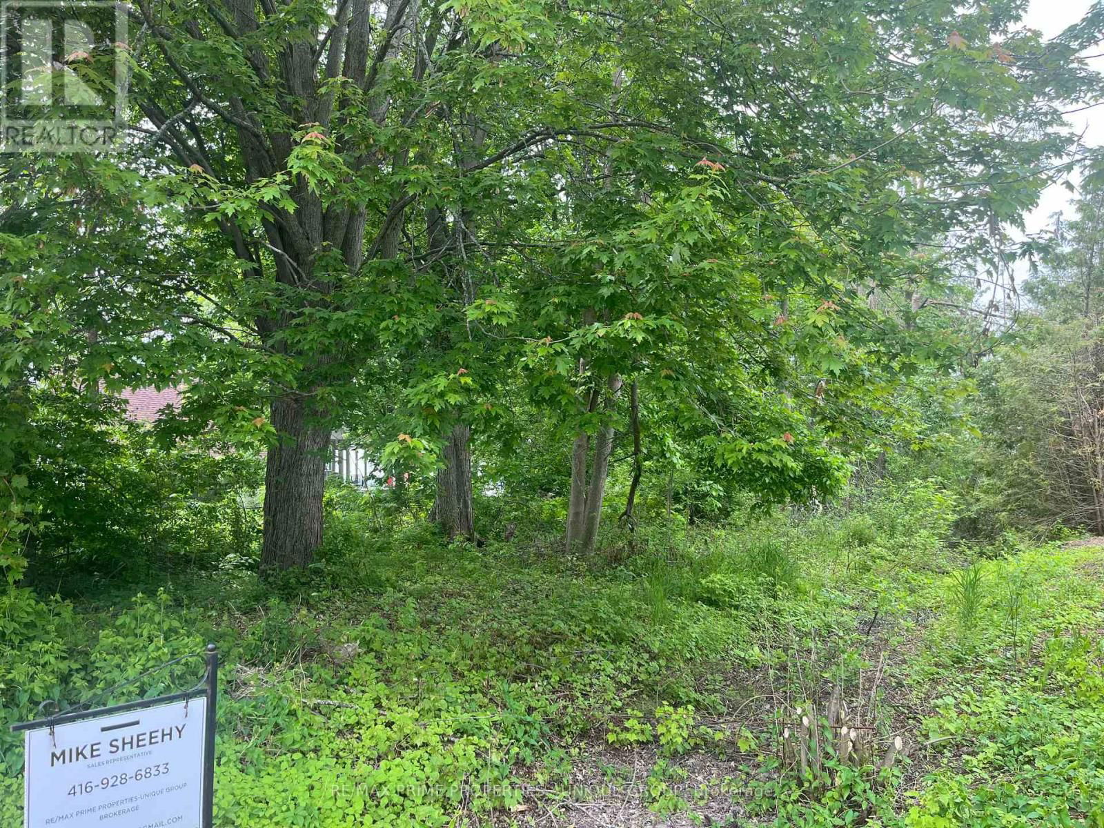 204 BAYSHORE DRIVE Image 10