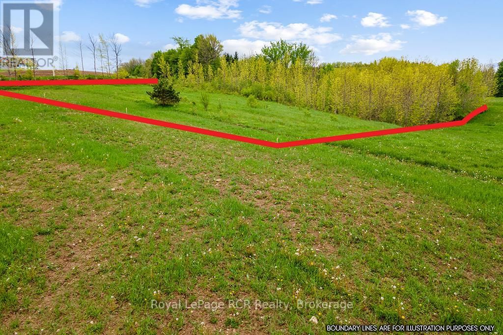 N/A CONC 11 Image 11