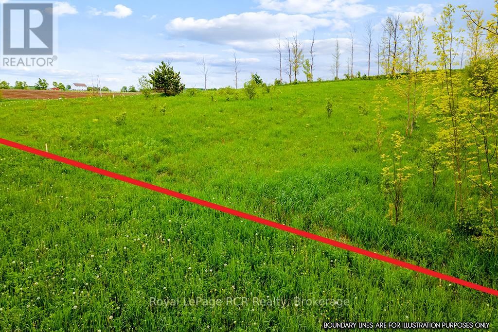 N/A CONC 11 Image 13
