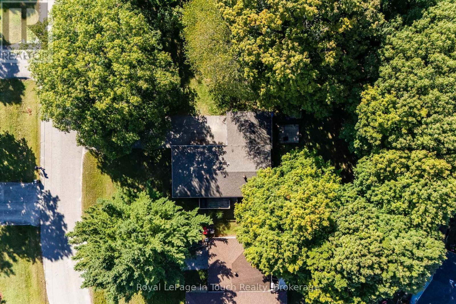 35 DORCAS AVENUE Image 29