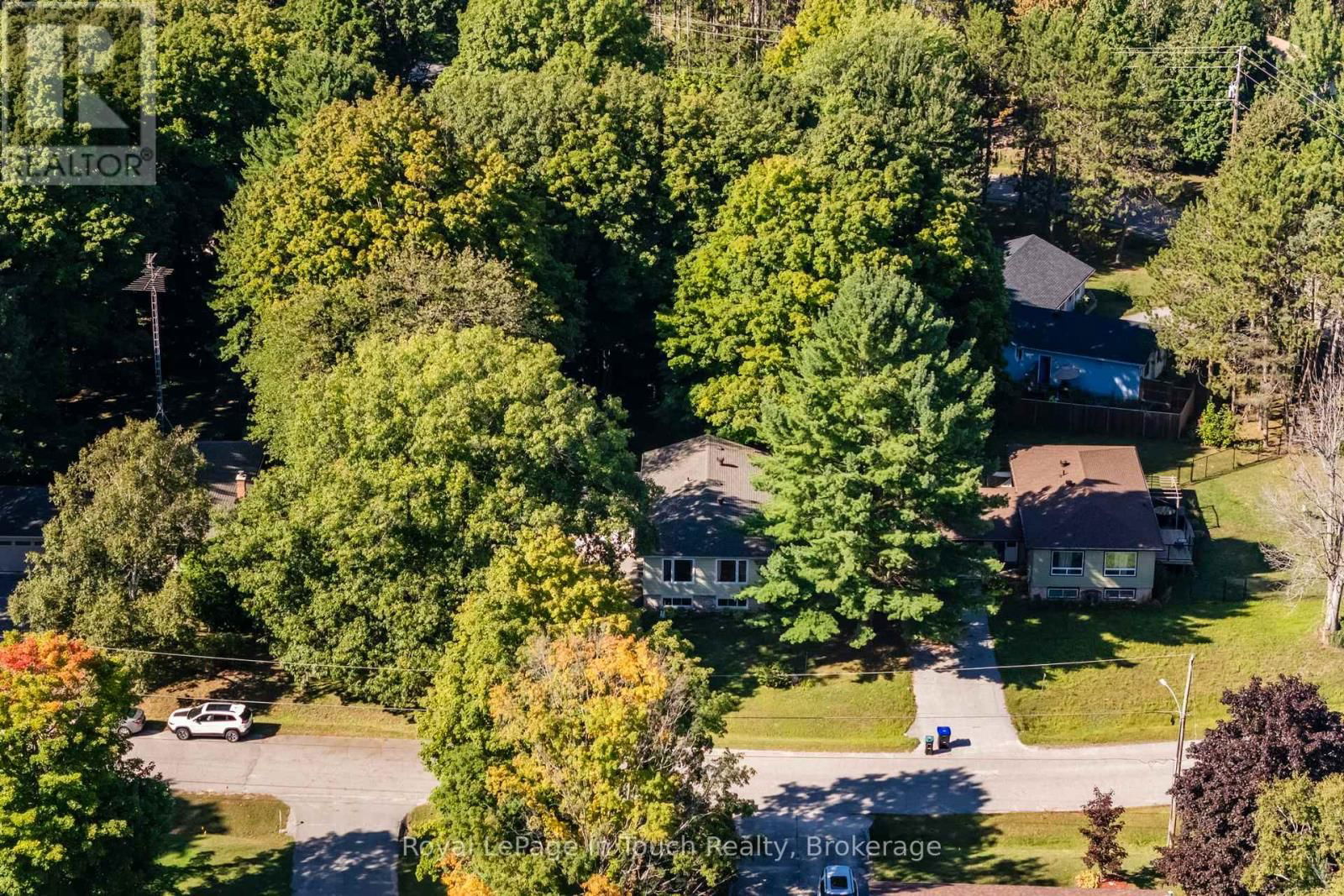 35 DORCAS AVENUE Image 5